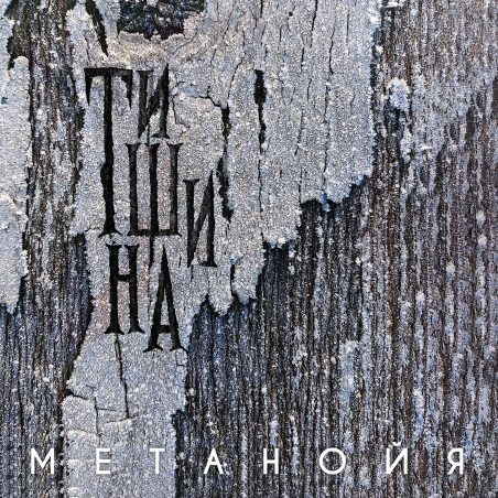 Метанойя 